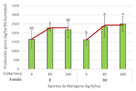 Figura 2.- Producción de grano de colza (kg/ha al 9% de humedad) en respuesta a dosis crecientes de nitrógeno, aplicado en fondo y en cobertora. La Tallada d’Empordà (Girona).