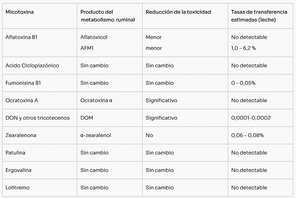 Micotoxinas en la producción de leche - Image 3