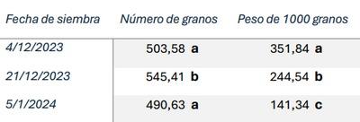 Infección de achaparramiento en maíz y su impacto en el rendimiento en siembras tardías de la región núcleo maicera - Image 3