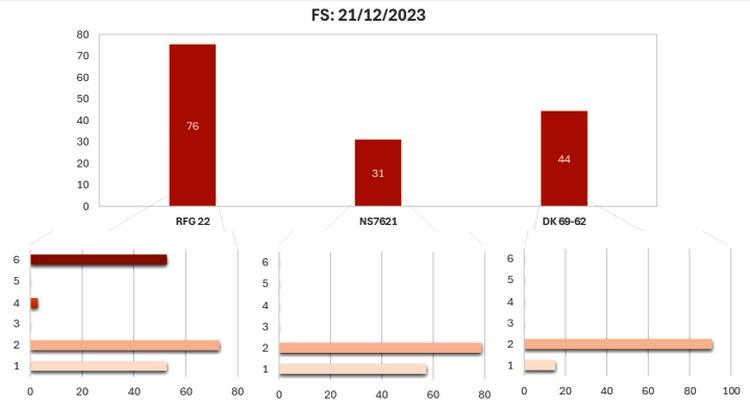 Infección de achaparramiento en maíz y su impacto en el rendimiento en siembras tardías de la región núcleo maicera - Image 3