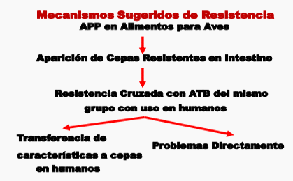 Uso de los antibióticos en la producción avícola - Image 1