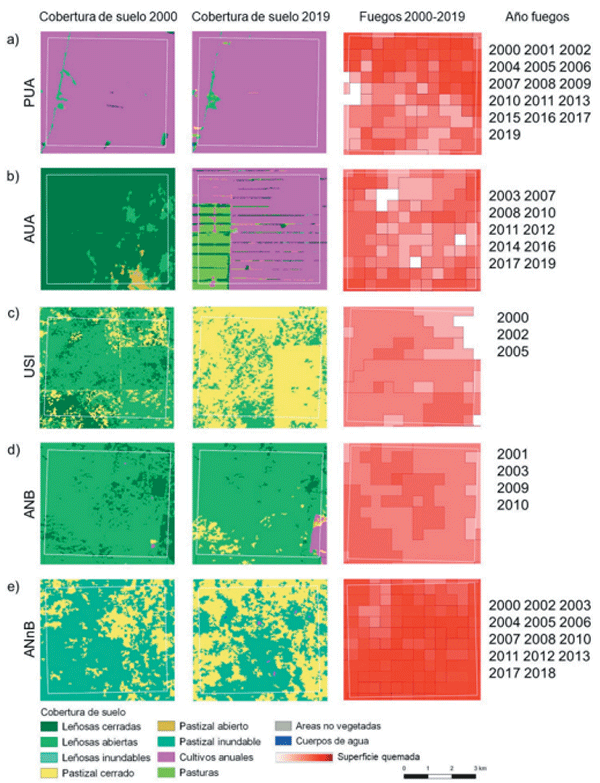 Figura 6. Ejemplos de asociación espacial entre la cobertura del suelo y la ocurrencia espacio-temporal de eventos de fuego en distintos conglomerados en determinadas celdas de la grilla (recuadro blanco de 25 km2 ). La superficie quemada se representa con diferente intensidad de rojo con una resolución de 500 m, donde una mayor intensidad de color indica una mayor frecuencia de fuego. a) Permanencia del uso agropecuario (PUA) en la provincia de Tucumán, donde la ocurrencia de incendios se asoció al cultivo de caña de azúcar. b) Avance del uso agropecuario (AUA) en la provincia de Santiago del Estero, donde la ocurrencia de incendios se relacionó con cultivos de soja y pasturas. c) Uso semi-intensivo (USI) en la provincia de La Pampa donde los eventos de fuego se vincularon a la pérdida de cobertura arbórea a expensas de áreas naturales no boscosas. d) Uso de baja intensidad en áreas naturales boscosas (ANB), donde la incidencia de fuego puede deberse al uso ganadero en la provincia de San Luis. e) Uso de baja intensidad en áreas naturales no boscosas, donde la ocurrencia de fuegos podría estar relacionada con el uso ganadero en la provincia de Santa Fe, en el conglomerado que registró la mayor recurrencia de incendios. Los mapas de cobertura de suelo fueron obtenidos de los proyectos Mapbiomas Chaco y Mapbiomas Pampa.