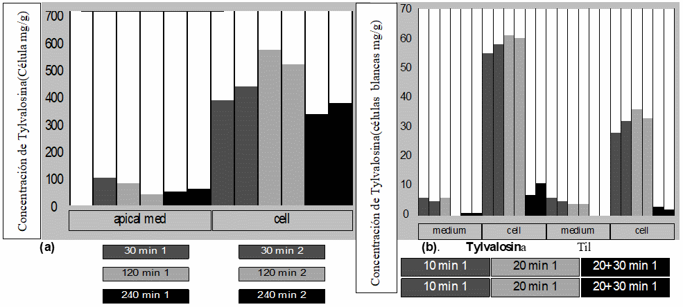 Actividad Antiviral de la Tylvalosina Tartrato Sobre el Virus de PRRSV Por la Vía de la Activación Nrf2-HMOX1 - Image 1