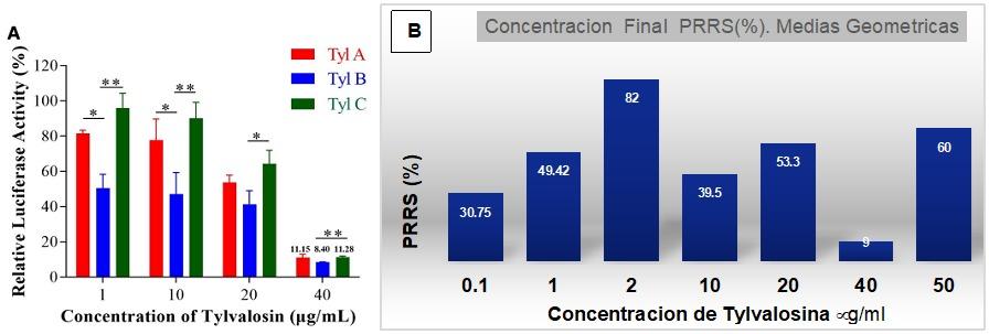 Actividad Antiviral de la Tylvalosina Tartrato Sobre el Virus de PRRSV Por la Vía de la Activación Nrf2-HMOX1 - Image 1