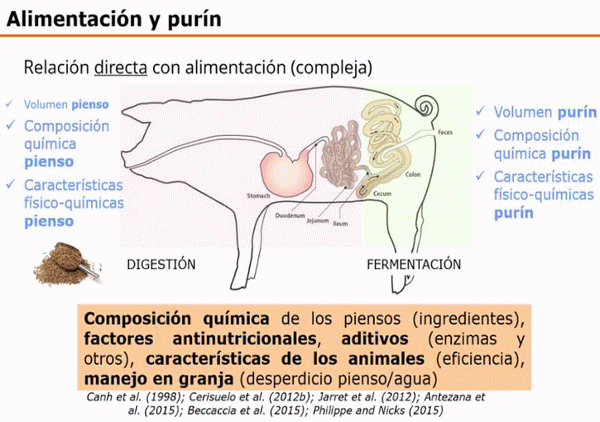 Tecnologías para producir biogás con un biorreactor porcino, Parte 1 de 3. - Image 1