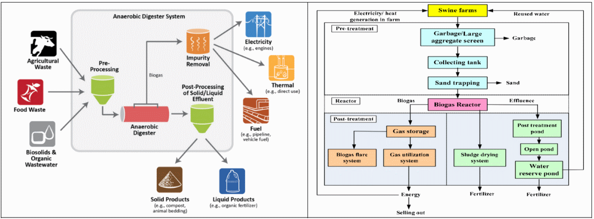 Tecnologías para producir biogás con un biorreactor porcino, Parte 1 de 3. - Image 1