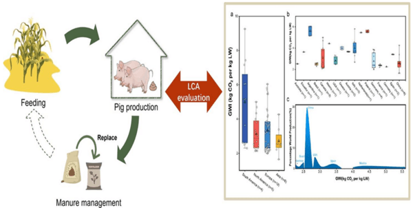 Tecnologías para producir biogás con un biorreactor porcino, Parte 1 de 3. - Image 9