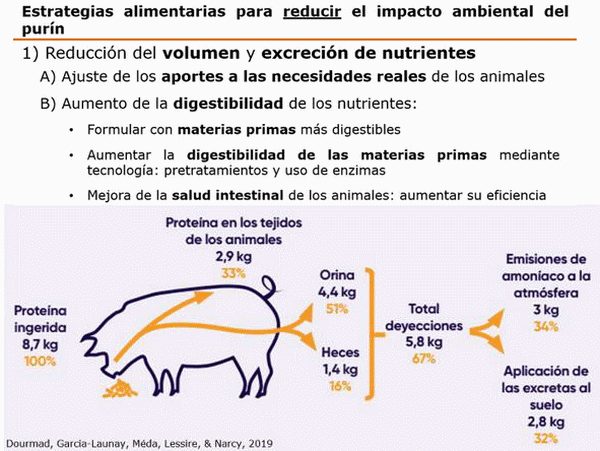 Tecnologías para producir biogás con un biorreactor porcino, Parte 1 de 3. - Image 3