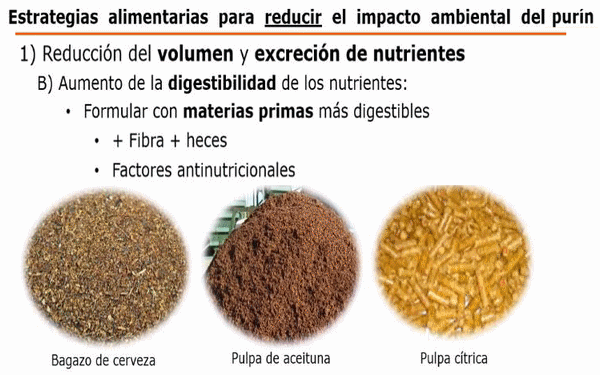 Tecnologías para producir biogás con un biorreactor porcino, Parte 1 de 3. - Image 4