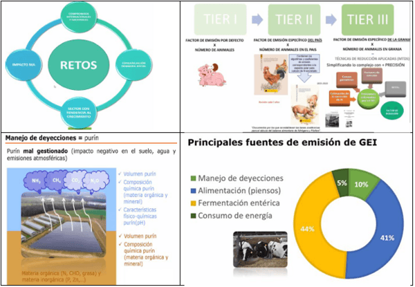 Tecnologías para producir biogás con un biorreactor porcino, PARTE II de 3. - Image 19