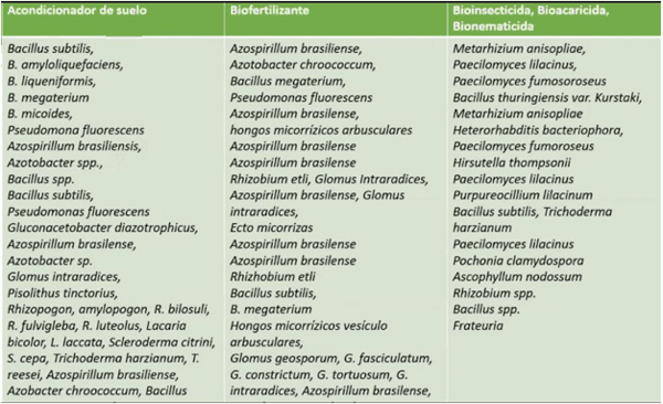 Tecnologías para producir biogás con un biorreactor porcino, PARTE II de 3. - Image 16