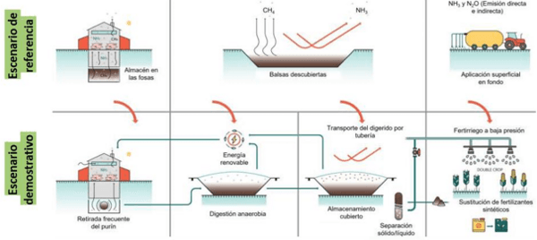 Tecnologías para producir biogás con un biorreactor porcino, PARTE II de 3. - Image 18