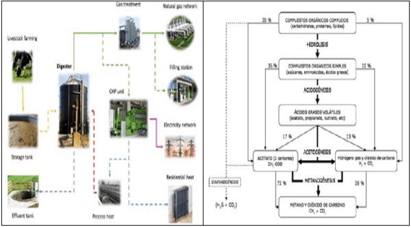 Tecnologías para producir biogás con un biorreactor porcino, PARTE II de 3. - Image 23