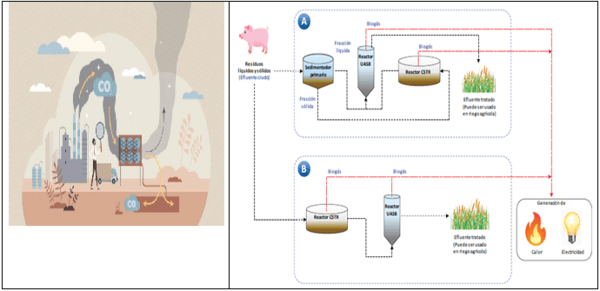 Tecnologías para producir biogás con un biorreactor porcino, PARTE III de 3. - Image 6