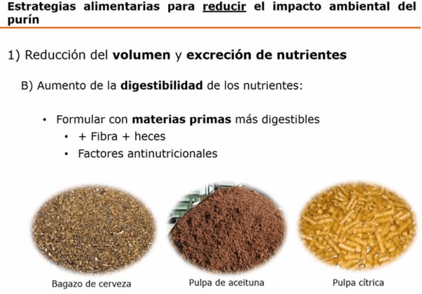 Tecnologías para producir biogás con un biorreactor porcino, PARTE III de 3. - Image 2