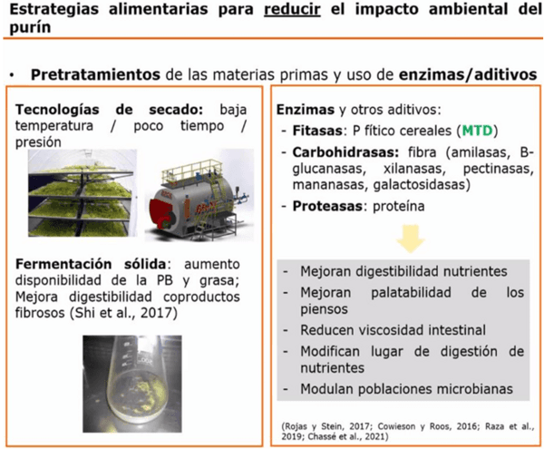 Tecnologías para producir biogás con un biorreactor porcino, PARTE III de 3. - Image 4