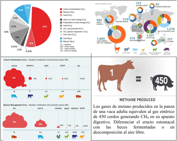 Tecnologías para producir biogás con un biorreactor porcino, PARTE III de 3. - Image 8