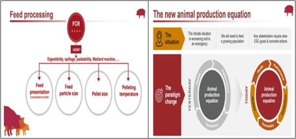 Tecnologías para producir biogás con un biorreactor porcino, PARTE III de 3. - Image 12