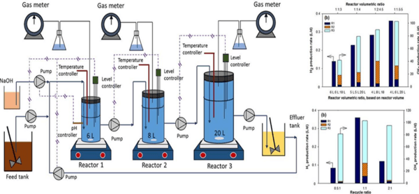 Tecnologías para producir biogás con un biorreactor porcino, PARTE III de 3. - Image 16