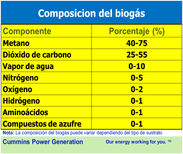 FIGURA 9.  Composición del biogás.