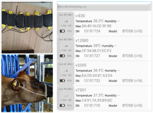 Figura 1. Obtención de temperatura timpánica: Sensores, ubicación y transmisión de datos.