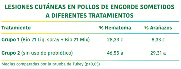 LESIONES CUTÁNEAS EN POLLOS DE ENGORDE SOMETIDOS A DIFERENTES TRATAMIENTOS