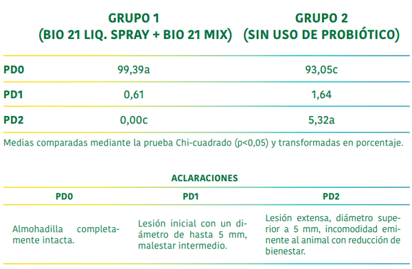 Probióticos con efectos positivos en el desempeño zootécnico de pollos de corte y reducción de pododermatitis, arañazos y hematomas - Image 1