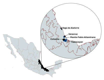 Figura 1. Ubicación geográfica de los municipios de Veracruz, México incluidos en el estudio. 