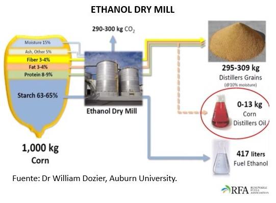 Cuatro ingredientes alternativos de importancia económica para los productores pecuarios dominicanos - Image 6