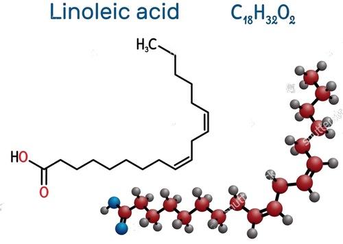 Importancia de las grasas o aceites en la nutrición animal - Image 1