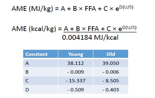 Importancia de las grasas o aceites en la nutrición animal - Image 6