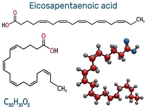 Importancia de las grasas o aceites en la nutrición animal - Image 2