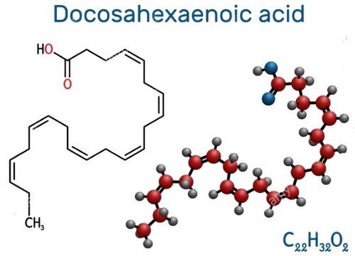 Importancia de las grasas o aceites en la nutrición animal - Image 3