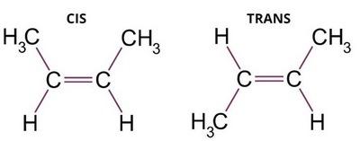 Importancia de las grasas o aceites en la nutrición animal - Image 1