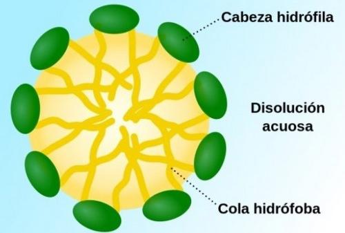 Importancia de las grasas o aceites en la nutrición animal - Image 1