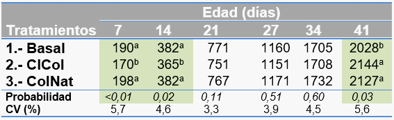 Evaluación de colina natural sobre el desempeño productivo de broilers - Image 1