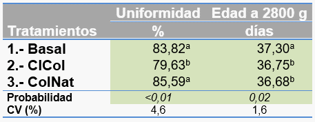 Evaluación de colina natural sobre el desempeño productivo de broilers - Image 2