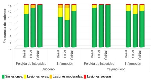 Evaluación de colina natural sobre el desempeño productivo de broilers - Image 2