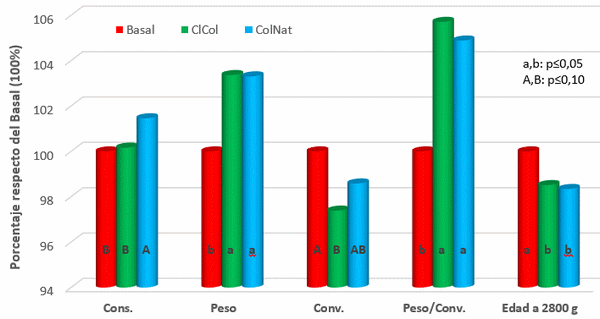 Evaluación de colina natural sobre el desempeño productivo de broilers - Image 1