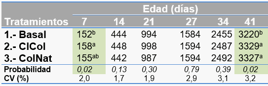 Evaluación de colina natural sobre el desempeño productivo de broilers - Image 1