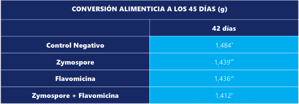 Uso de Zymospore en aves de engorde - Image 4