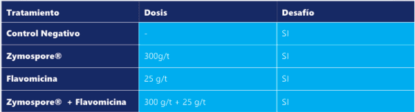 Uso de Zymospore en aves de engorde - Image 2