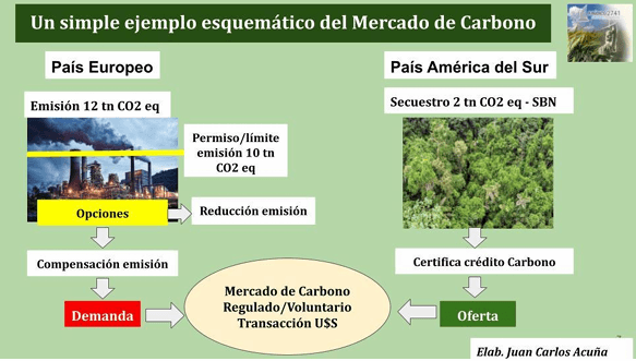 ACTIVIDAD AGRARIA Y EL MERCADO DE CARBONO EN ARGENTINA - Image 2