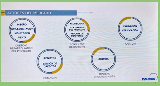 ACTIVIDAD AGRARIA Y EL MERCADO DE CARBONO EN ARGENTINA - Image 4