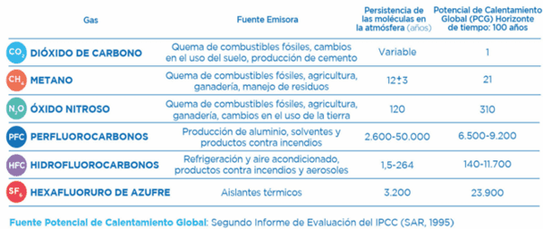 ACTIVIDAD AGRARIA Y EL MERCADO DE CARBONO EN ARGENTINA - Image 1