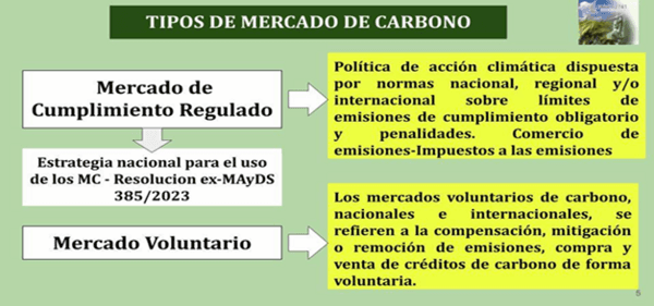 ACTIVIDAD AGRARIA Y EL MERCADO DE CARBONO EN ARGENTINA - Image 3