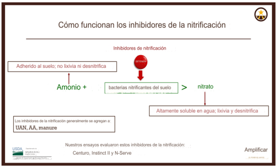 Imagen traducida tomada de: Do Enhanced Efficiency Fertilizers save farmers money and keep nitrogen in fields? by Nutri Star, Jun 15, 2021. Tom Morris, Researcher/Professor. University of Connecticut and Karen Chapman. Nutrient Star Administrator, Appleseed Consulting, LLC