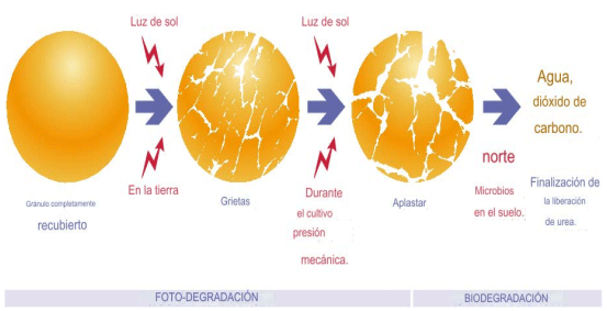 Imagen traducida tomada de: Modelo de descomposición del polímero de recubrimiento de Meister® (Adaptado de Chissoasahi,2007) (M. E. Trenkel, 2010)