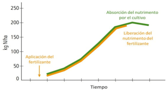 Fertilización ideal: La liberación del mismo debe estar sincronizada con los requerimientos de la planta. Fuente: Trenkel, 2010