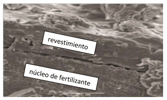 Tomado de: Multicote™ Agri Controlled Release Fertilizers for Agriculture. Handbook. Imagen de microscopio electrónico de barrido que muestra una sección transversal de gránulos Multicote™.